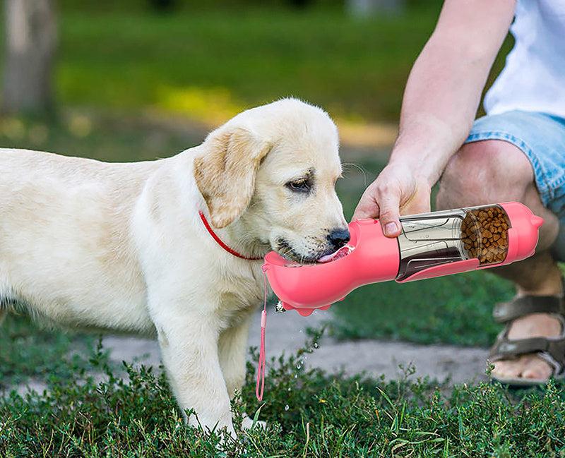 Multifunctional Pet Drink-n-Go